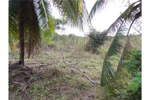Residential - Land - Esperanza, Cayo District, Belize - CC - 900321003 ...